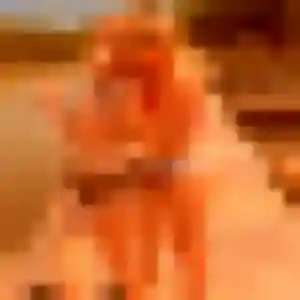 Flavia, femme de 28 ans cherche plan cul à Le Juch