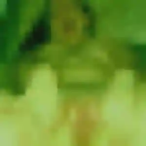Profil de Celine à Le Loroux-Bottereau (36 ans) - plan cul gratuit