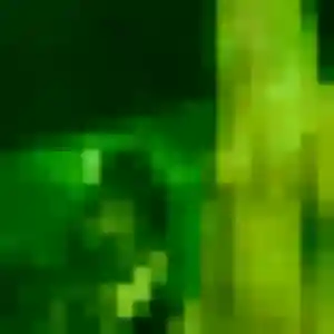 Touria, 29 ans, en ligne à Le Montsaugeonnais pour une rencontre coquine