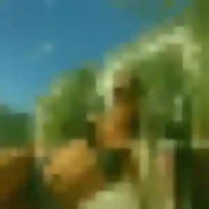 Priscilla, femme de 42 ans cherche plan cul à Le Neubourg