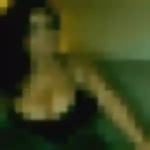 Photo privée de Diane, 42 ans à Le Pin - rencontre coquine