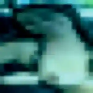 Photo sexy de Brune, 35 ans à Le Porge - rencontre coquine