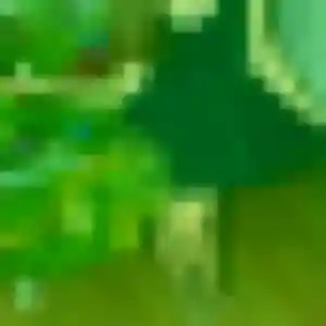 Photo sexy de Paloma, 27 ans à Le Revest-les-Eaux - rencontre coquine