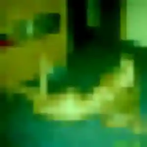 Charmante Patricia, 32 ans à Le Theil-de-Bretagne - la contacter