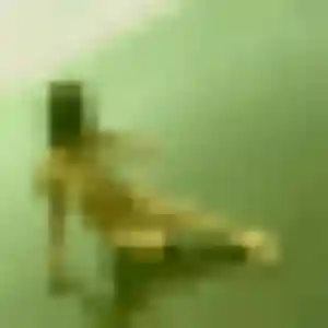 Sexy Marie-Laure, 24 ans à Le Vaudreuil - la contacter
