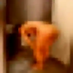 Photo de Typhaine à Le Verdon-sur-Mer (33 ans) - plan cul anonyme