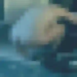 Profil de Anouk à Les Artigues-de-Lussac (36 ans) - plan cul gratuit
