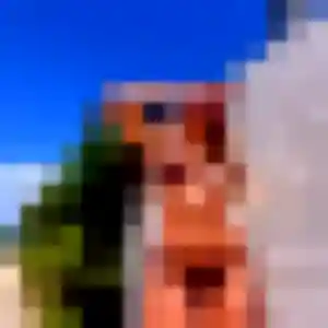 Photo exclusive de Wahiba, 42 ans à Les Garennes sur Loire - rencontre coquine