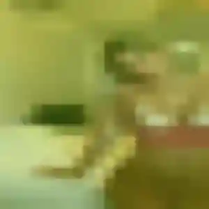 Faustine, 37 ans, disponible à Les Ulis pour une rencontre coquine