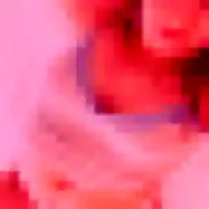 Belle Amira, 42 ans à Lescar - voir sa photo