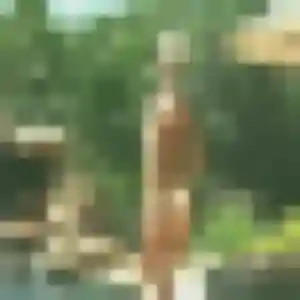 Photo privée de Adelaide, 30 ans à Lespignan - rencontre coquine