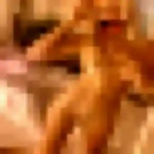 Coralie, 44 ans, en ligne à Leutenheim pour une rencontre coquine