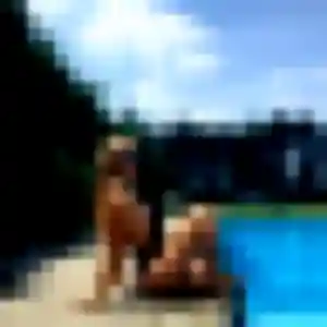 Profil de Olivia à Liffol-le-Grand (25 ans) - plan cul gratuit