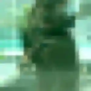 Photo privée de Clarisse, 44 ans à Ligné - rencontre sans lendemain