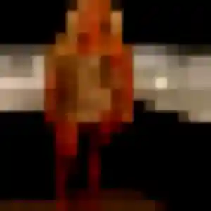 Photo perso de Anne-Charlotte, 42 ans à Livet-et-Gavet - rencontre sans lendemain