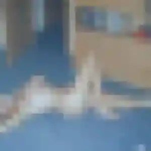 Florence, 43 ans, disponible à Locmaria pour un plan cul