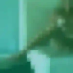Photo de Cassandre à Loireauxence (26 ans) - plan cul anonyme