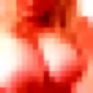 Photo exclusive de Sonia, 27 ans à Longages - rencontre coquine