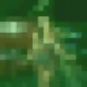Charmante Delia, 29 ans à Longuenée-en-Anjou - la contacter