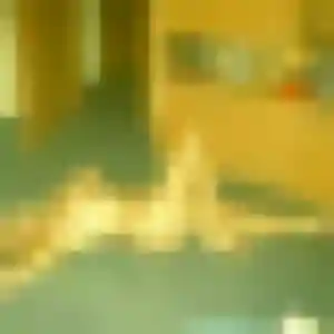 Marie-Cecile (38 ans) à Lorcy cherche une rencontre rapidement