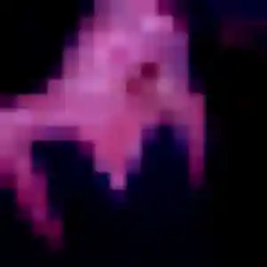 Jennifer, 34 ans, connectée à Lorient pour une rencontre coquine