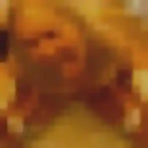 Photo de Morgane à Lormes (22 ans) - plan cul sans inscription