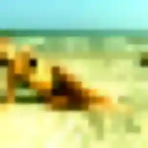 Sexy Marie-Jose, 39 ans à Louannec - la contacter