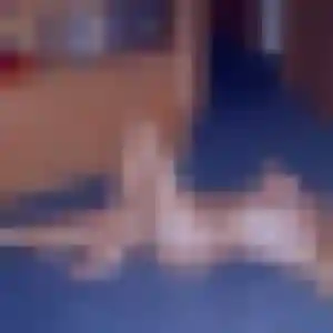 Suzanne (31 ans) à Louannec cherche un plan cul ce soir