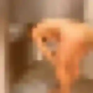 Yvonne, 34 ans, en ligne à Lutzelhouse pour une rencontre coquine