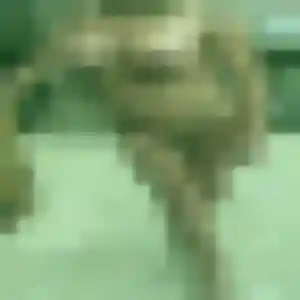 Sexy Naomi, 28 ans à Luzillé - découvrir son profil