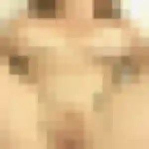 Photo sexy de Wilhelmine, 45 ans à Magné - rencontre coquine