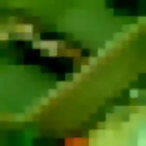 Photo perso de Kawtar, 44 ans à Malleloy - rencontre coquine
