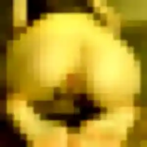 Jade, 42 ans, connectée à Maves pour une rencontre coquine