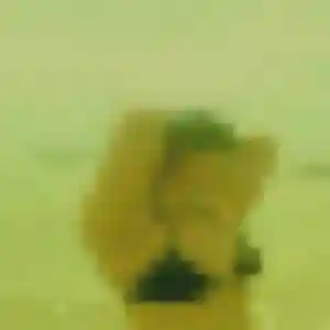 Photo perso de Orane, 42 ans à Mercuer - rencontre coquine