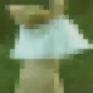 Photo de Romina à Mesnil-Raoul (45 ans) - plan cul gratuit