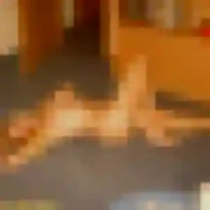 Découvre Morgane, 40 ans à Mesnil-Saint-Loup en privé