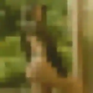 Ibtissam (41 ans) à Mignaloux-Beauvoir propose un plan cul aujourd'hui