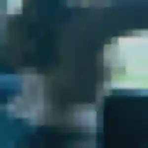 Photo de Deborah à Molières-Cavaillac (33 ans) - plan cul anonyme