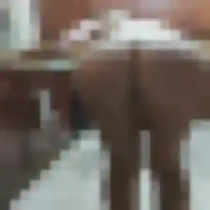 Charmante Wendy, 43 ans à Monchy-Lagache - découvrir son profil