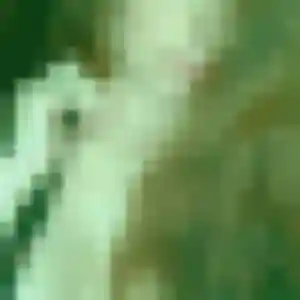 Jolie Djamila, 43 ans à Mondonville - voir sa photo