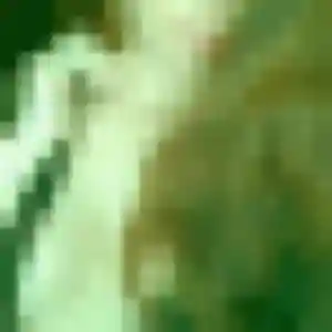Sexy Wilhelmine, 31 ans à Mont Lozère et Goulet - voir sa photo