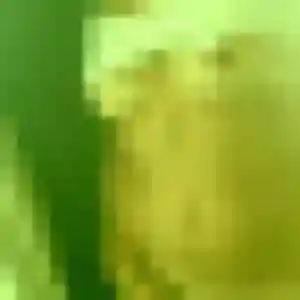 Jolie Amira, 34 ans à Montaignac-sur-Doustre - la contacter