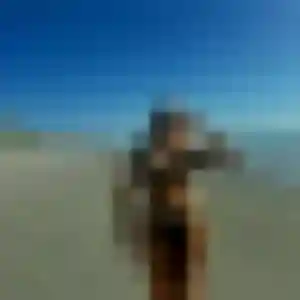 Photo de Clara à Montbazens (43 ans) - plan cul anonyme