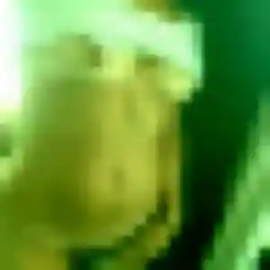 Photo de Sarah à Montbellet (35 ans) - plan cul gratuit