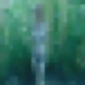 Photo privée de Jeanne, 26 ans à Montbert - rencontre coquine