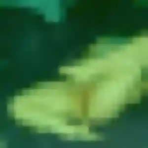 Profil de Christine à Montbonnot-Saint-Martin (37 ans) - plan cul anonyme