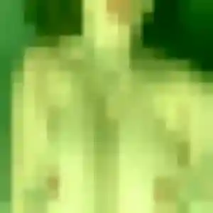 Sabrina (43 ans) à Montbrehain cherche une rencontre maintenant