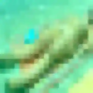 Photo exclusive de Vera, 36 ans à Montescourt-Lizerolles - rencontre coquine