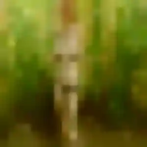 Photo de Irene à Monthou-sur-Cher (36 ans) - plan cul sans inscription