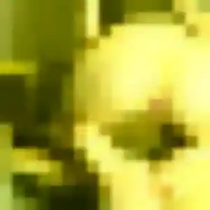 Jocelyne, 30 ans, cherche un plan cul à Montmérac